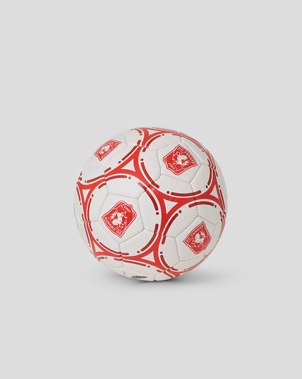 FC TWENTE MINI VOETBAL - MAAT 1
