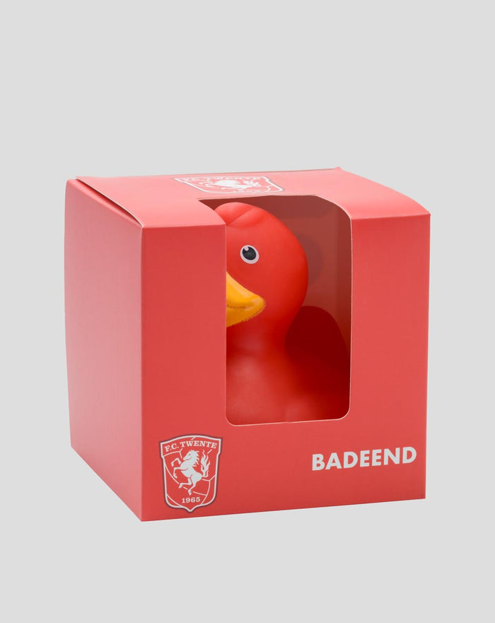 FC TWENTE VINYLEN EEND